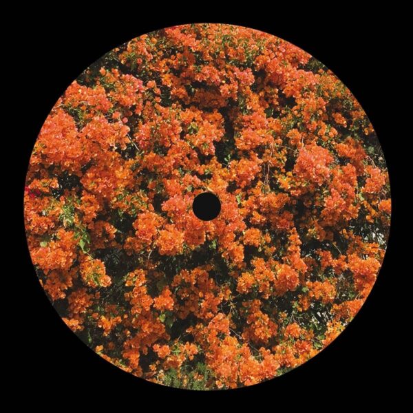 side_b-6 Came Home From Work And Your House Was Missing