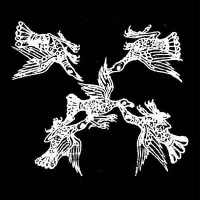 R-9401023-1479909570-1461.jpeg Catalina