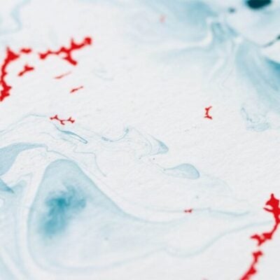 Evidence of a Primary Perception