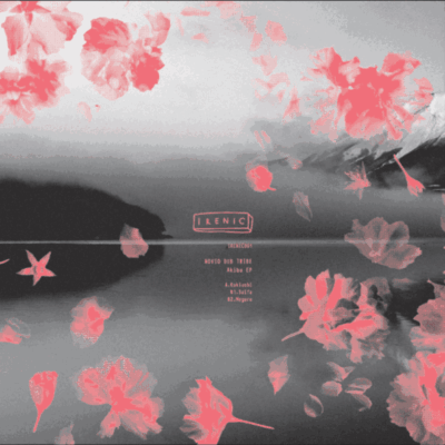 IRENIC001 AKIBA (no cover)