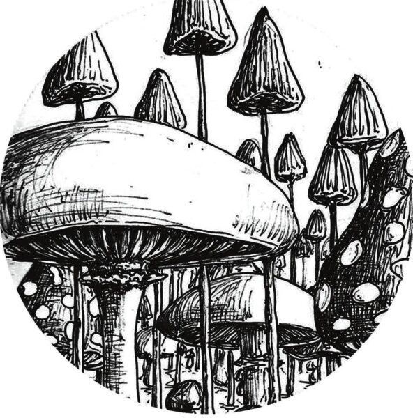 Sound Carrier Records 009