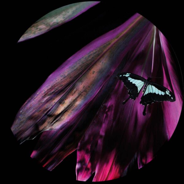 OBQ005_front Datum Plano