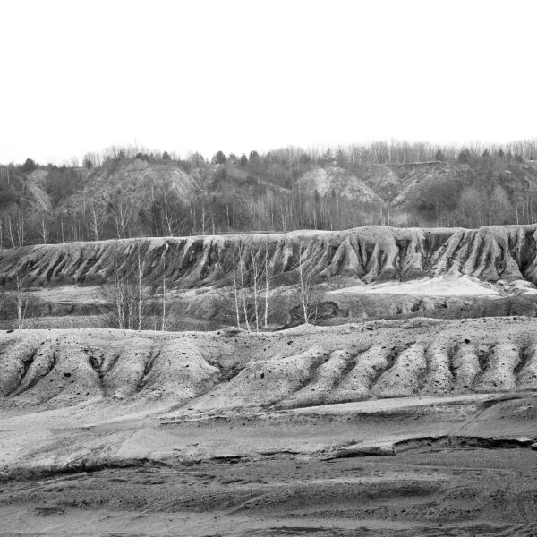 Family Jubilee II (Meander 20.2)