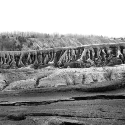 Family Jubilee II (Meander 20.3)