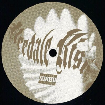 Light Through A Birds Wing