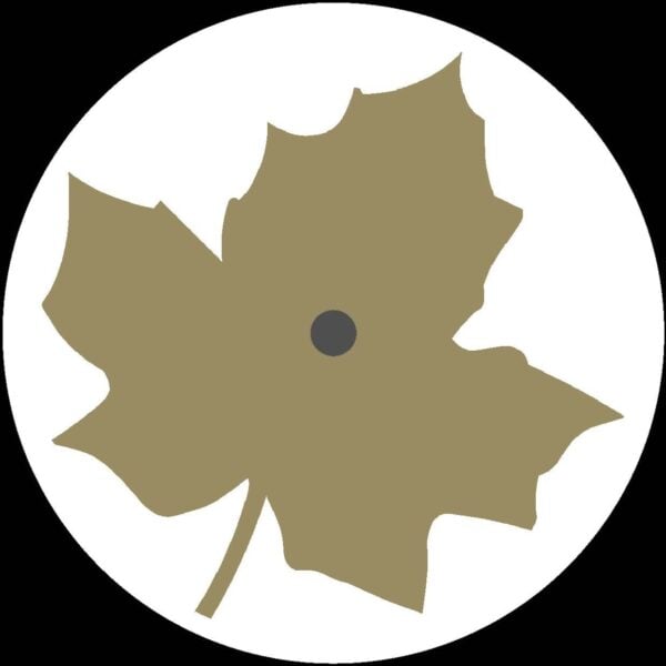 CST007_D-SIDE Blurred Memories Beyond The City Of Broken Dreams