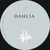 DAHLIA 998