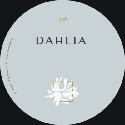 DAHLIA 998