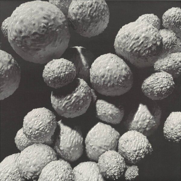 MEANDYOU07 s Aramaic