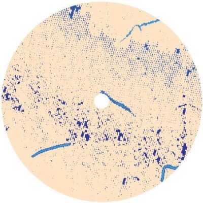 Data Orb / Nessie’s Revenge