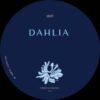 Dahlia996