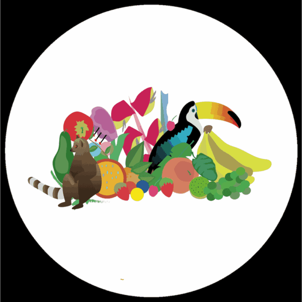 FM001 Wonders Of The Rainforest