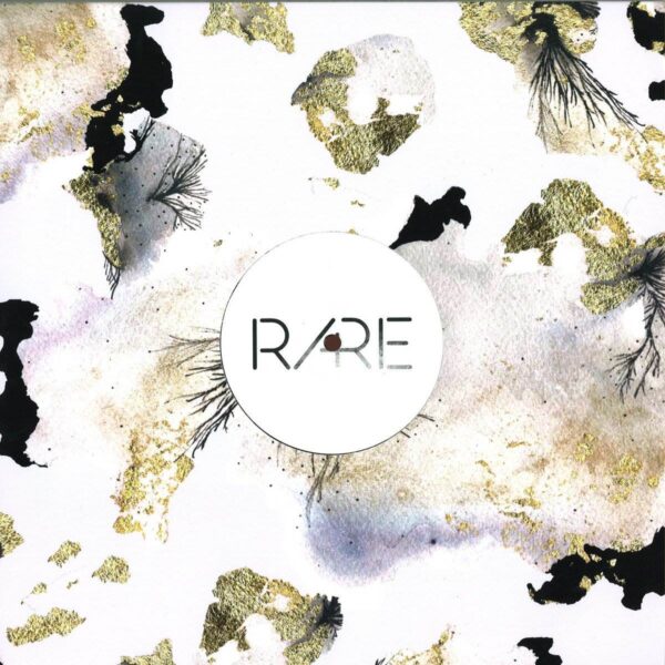 230812 Various Artists 2