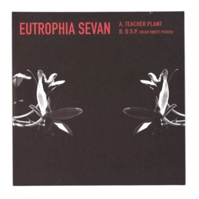 283144 Eutrophia Sevan