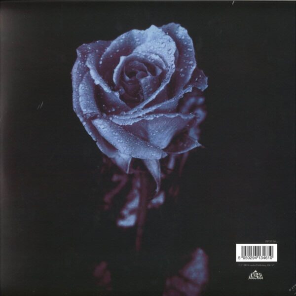 Silence In The Secret Garden