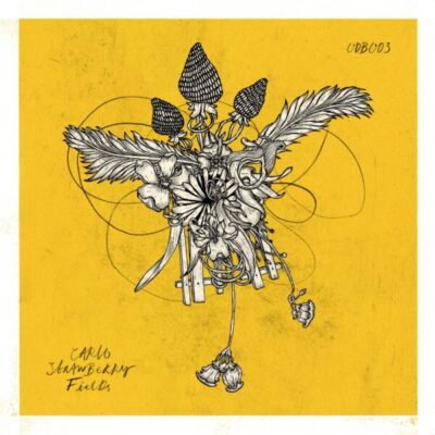 ODB003 Strawberry Fields