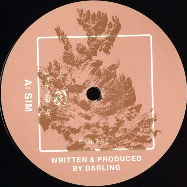 304820 Sim / Moon Fleet