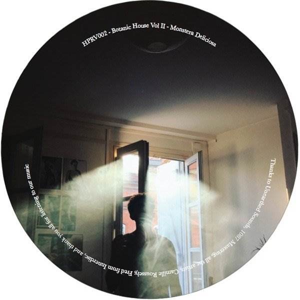 R-10490002-1499420048-9741.png Botanic House Vol. II - Monstera Deliciosa