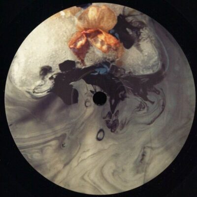 Alternative Hypothesis