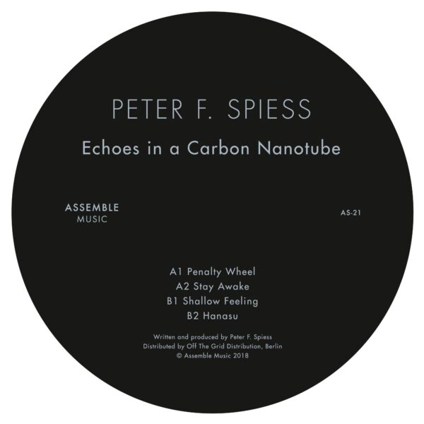 Echoes in a Carbon Nanotube