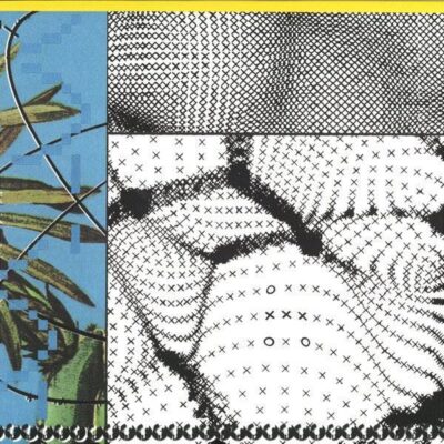 The Boy From West Bronx