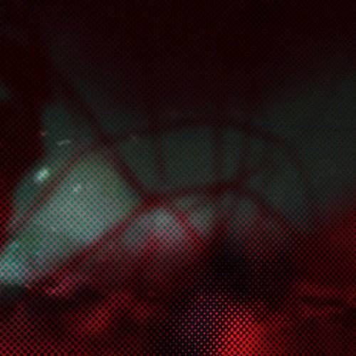 SICLTD008_COVER_WEB-500x500 Shamania (Inc Villalobos & Melchior and Dunkle Dummies Remixes)