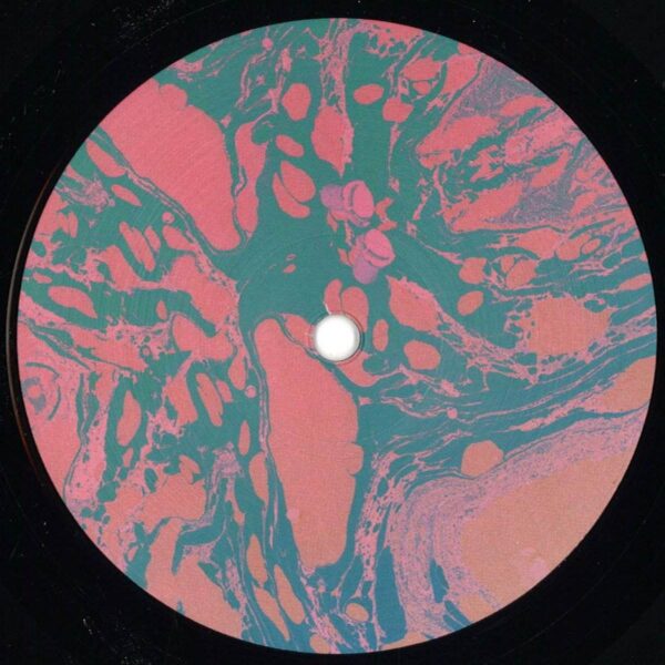 331372 The End OF Times