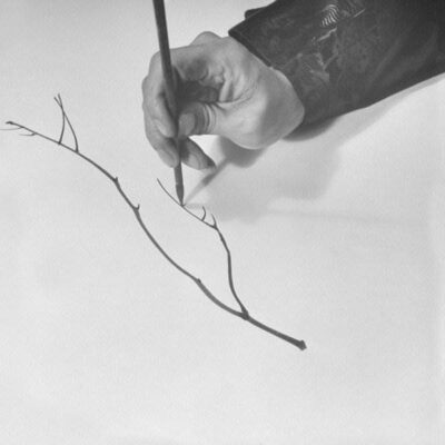 R-12672767-1539781022-4322.jpeg (f)lute songs