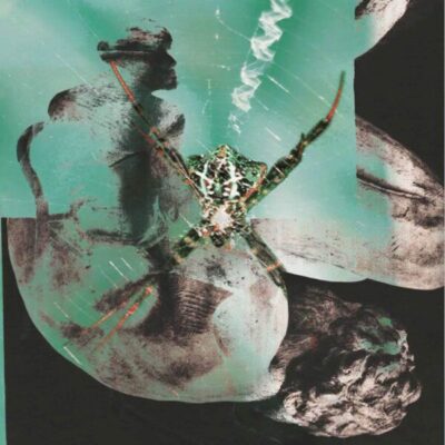 With Flesh And Bones