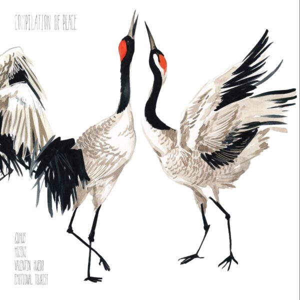 Compilation Of Peace