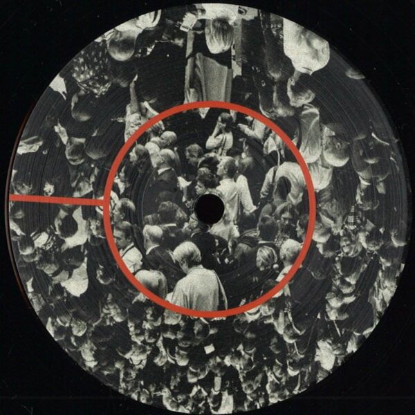 310457 Voynich 0.0.1