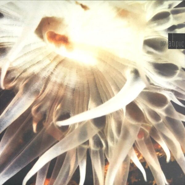 ATIPIC 007