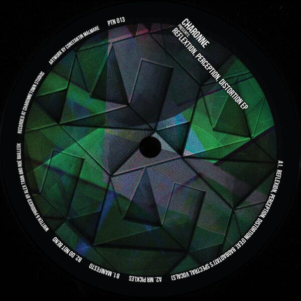 PTN013_A Reflexion Perception Distortion