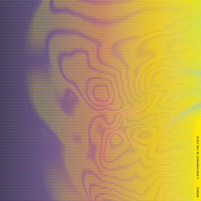 A Disturbance In The Field