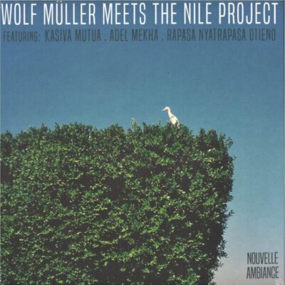 Wolf Müller Meets The Nile Project