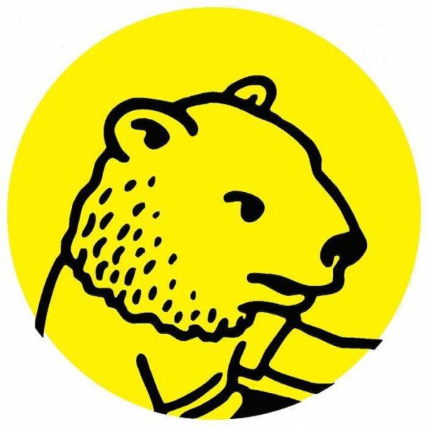 937310 Elastic Collisions