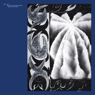 Sky City: Even In The Heart Of Heaven Angels Can Still Feel Fear