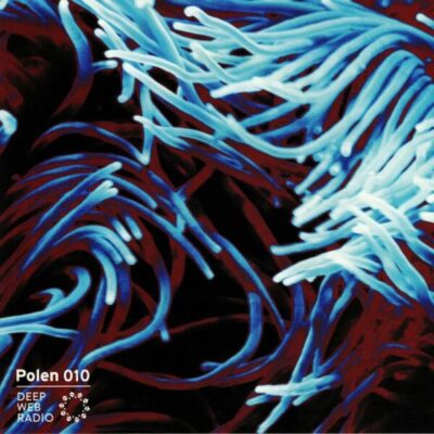 POL010 Smisikis Hidden Adventure In Cyberspace