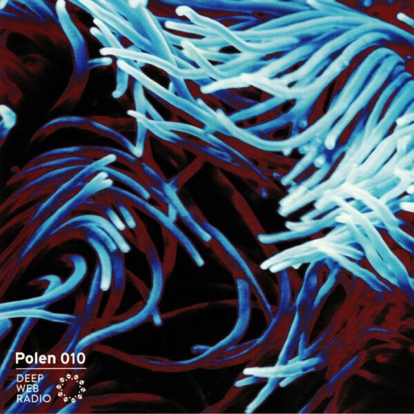 Smisikis Hidden Adventure In Cyberspace