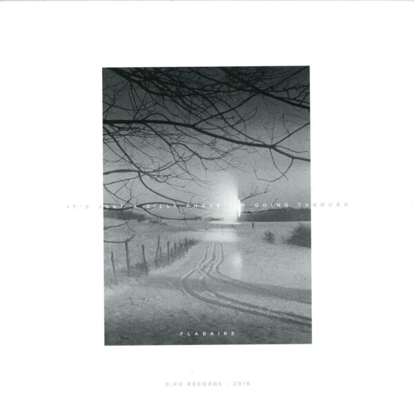 D.KOLP01 It's Just A Silly Phase I'm Going Through