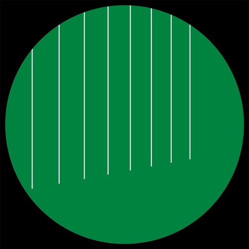 label_12Inch_2019_template Mantis 03