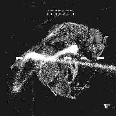 Yossi Amoyal Presents Fluere I