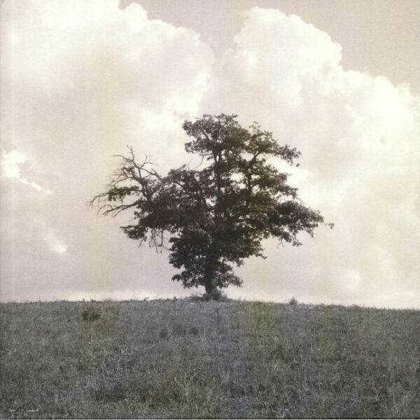 WEX003 In Vivid Motion