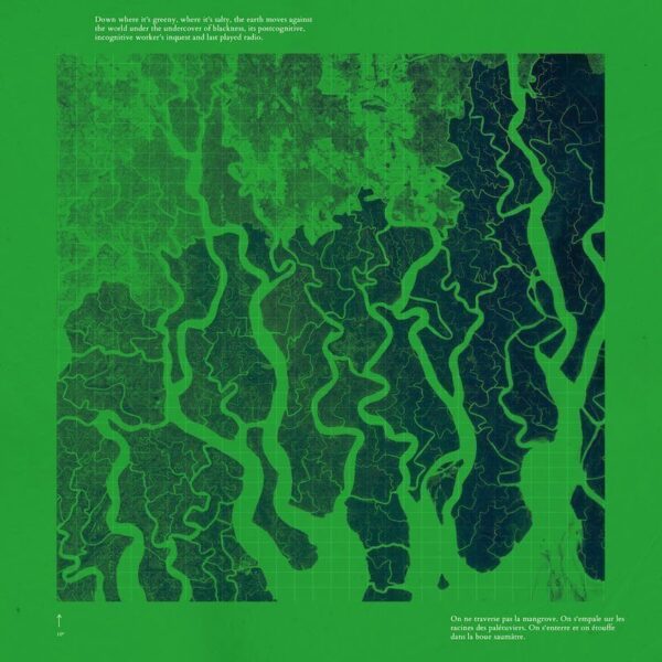 Outer_12_inch_sleeve.indd Mangrove Management