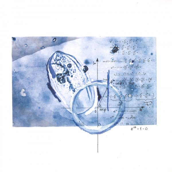 Thoughts Create Reality