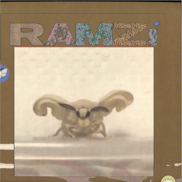 Multiquest Niveau 1: Camouflé