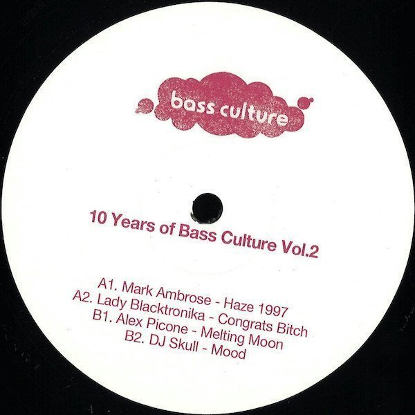 10 Years of Bass Culture Vol.2