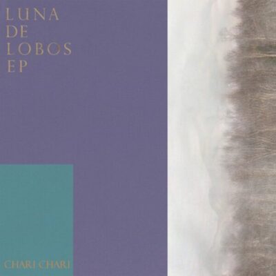 Luna De Lobos EP (Creative Hustlers Against Rotten Idea)