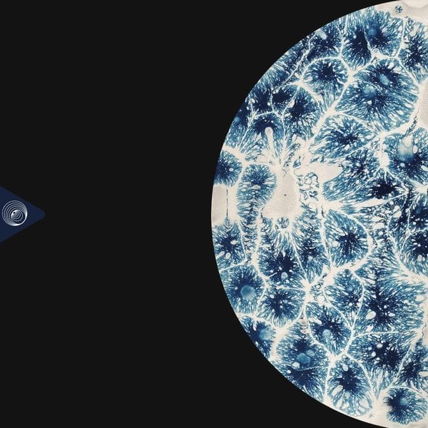 DENSITY001 1st Dance