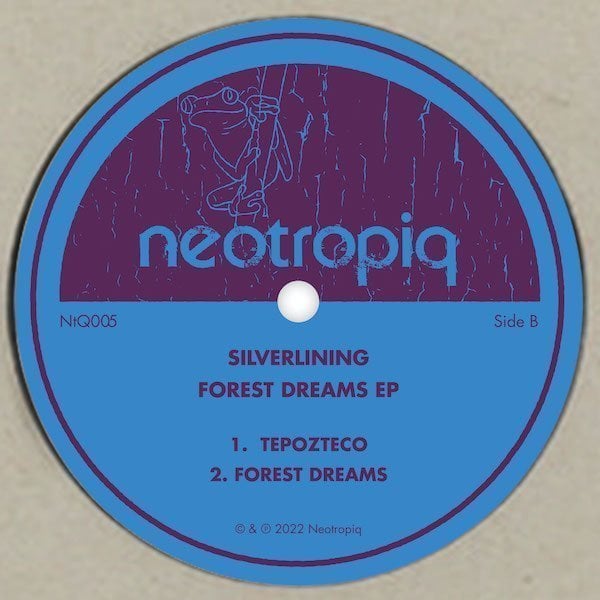 NtQ005_B Forest Dreams